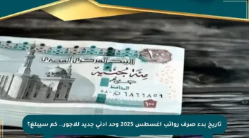 تاريخ بدء صرف رواتب أغسطس 2025 وحد أدنى جديد للأجور.. كم سيبلغ؟